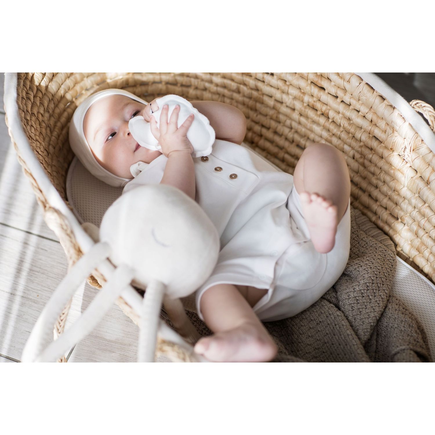 octopus_baby Octopus Kuscheltier, klein, cream