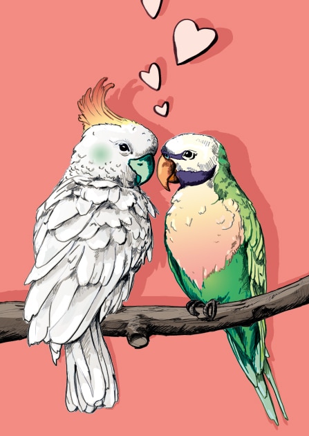 Karte mit verliebten Papageien LOVE "NONI & LOU" von illi