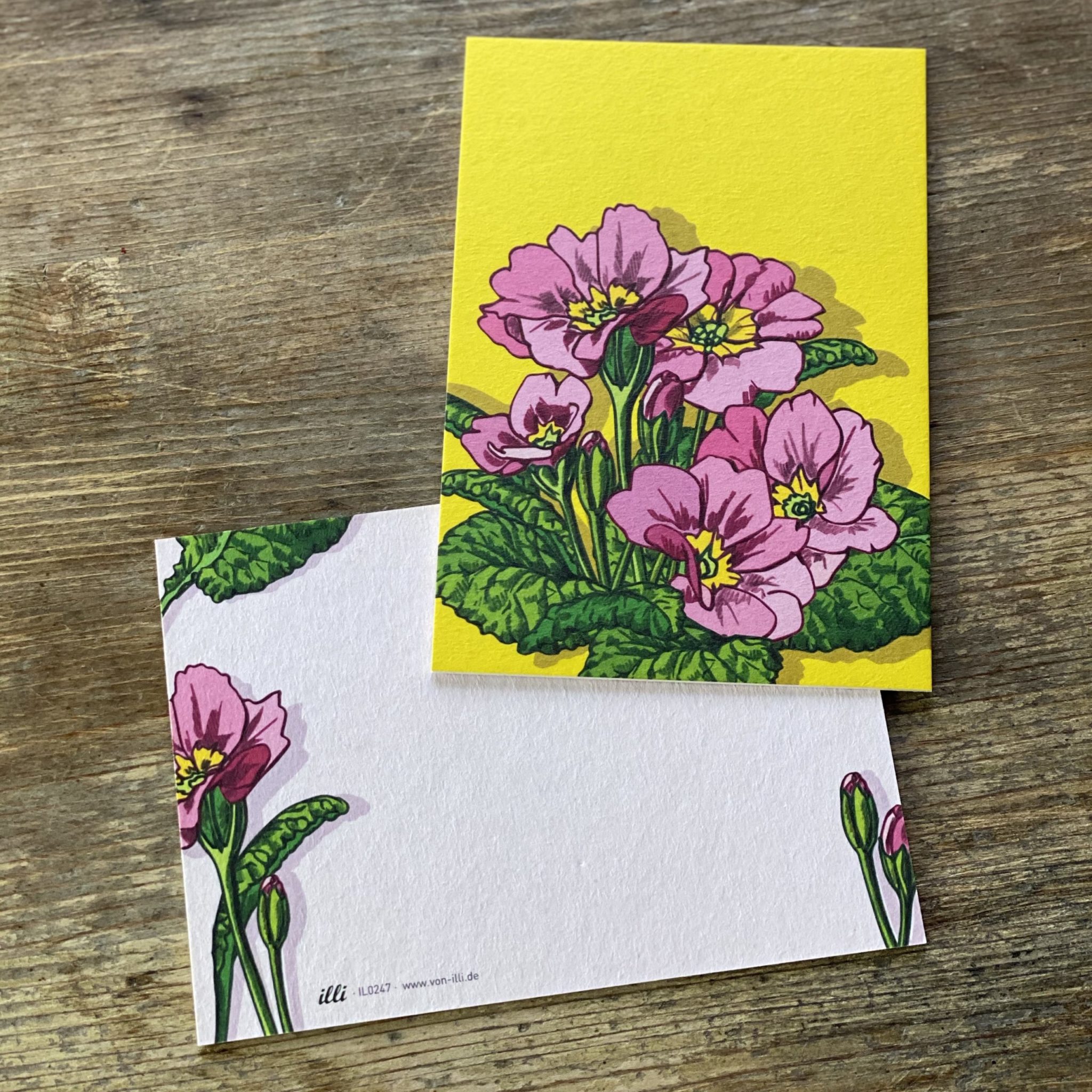 KYUTE Postkarte von illi PRIMULA PINK KYUTE Postkarte von illi PRIMULA PINK