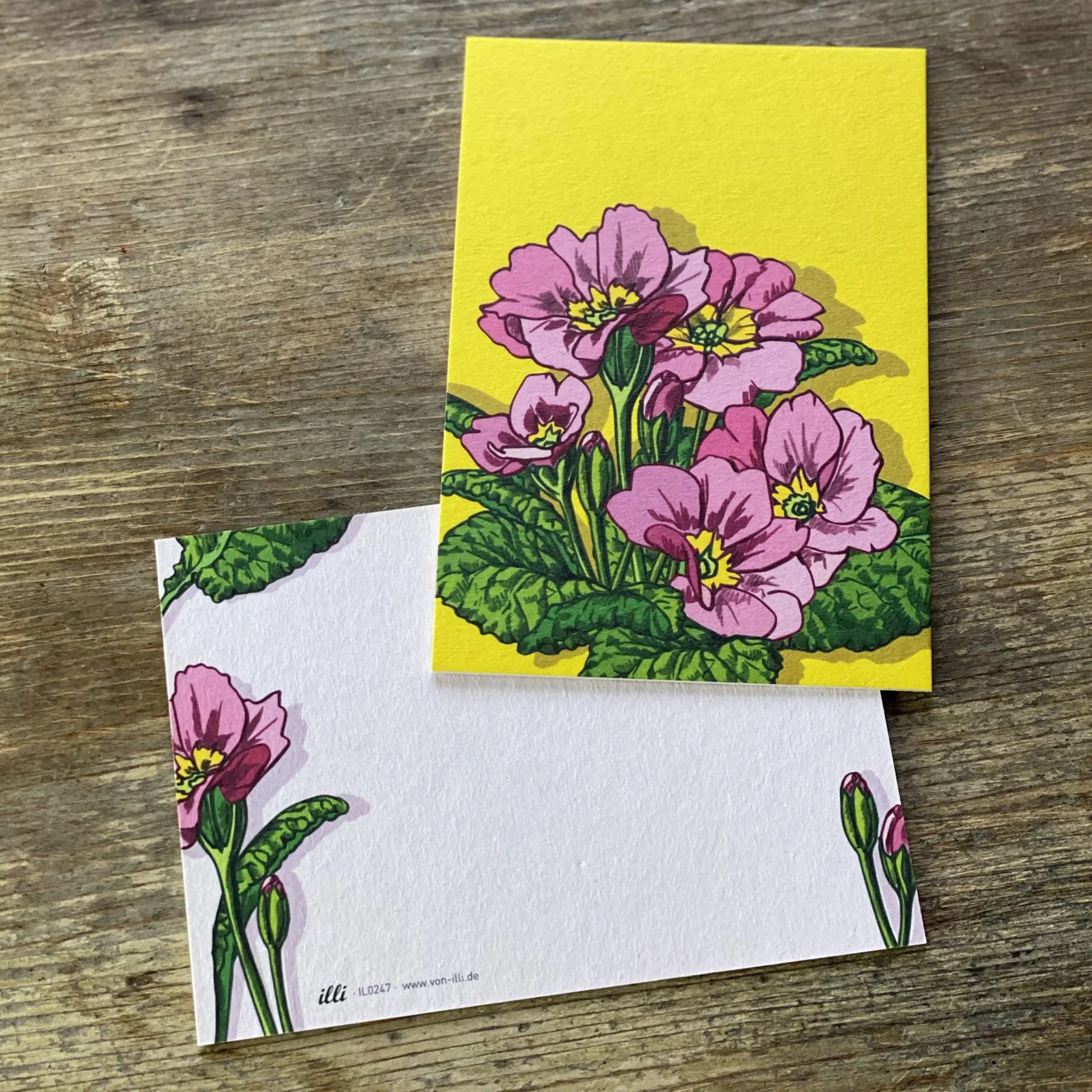 KYUTE Postkarte von illi PRIMULA PINK KYUTE Postkarte von illi PRIMULA PINK