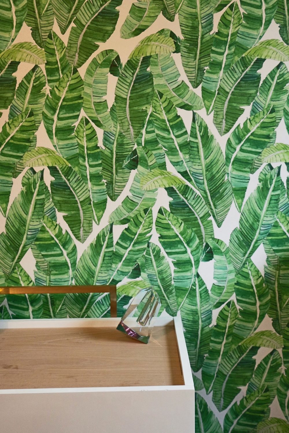 Bananeira_Wallpaper_in_situ_Kariokas