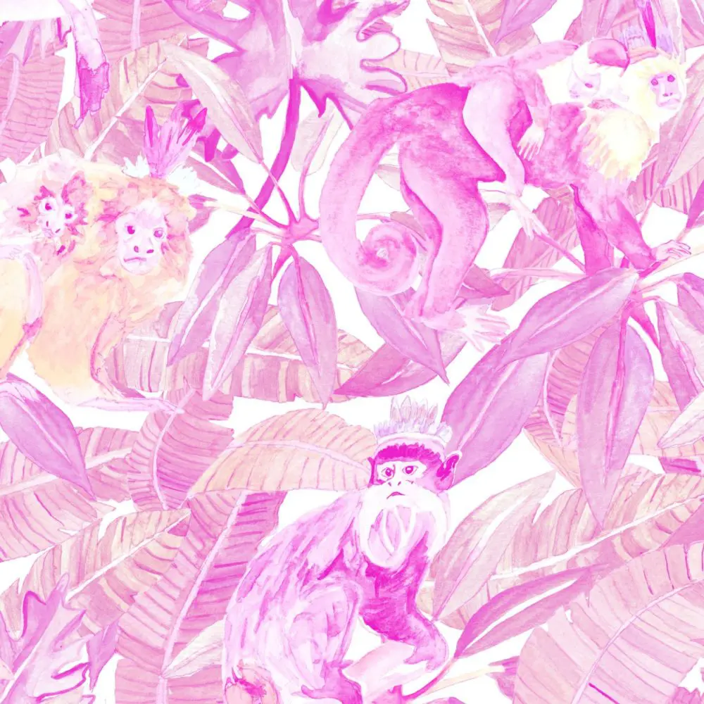 Monkeys_Light_pink_details_Kariokas