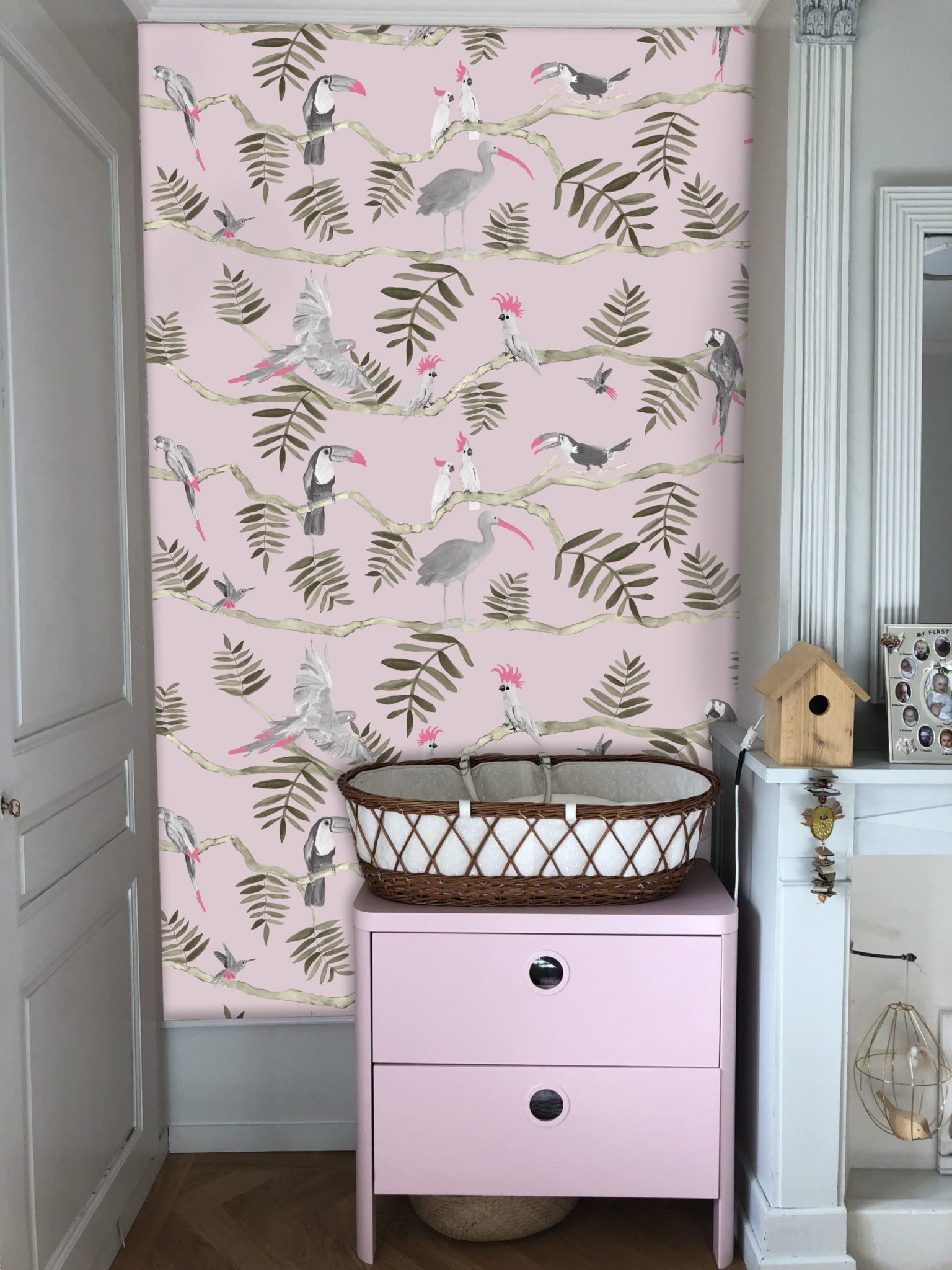Panatanal_Pink &Grey_toucan_situation_Kariokas