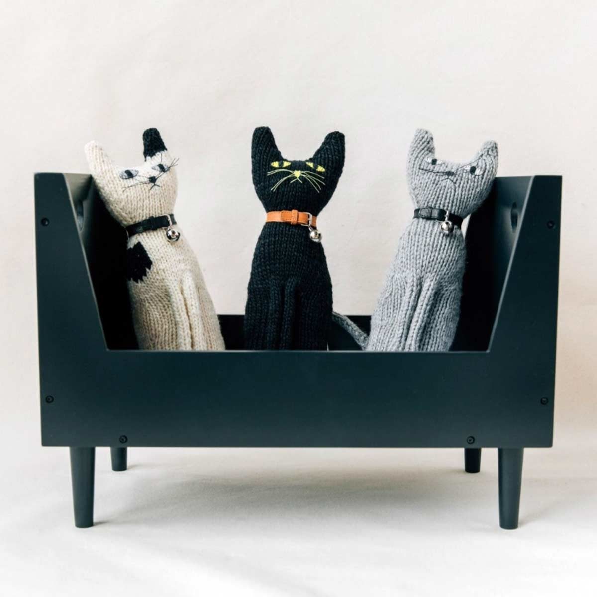 Katze Vito