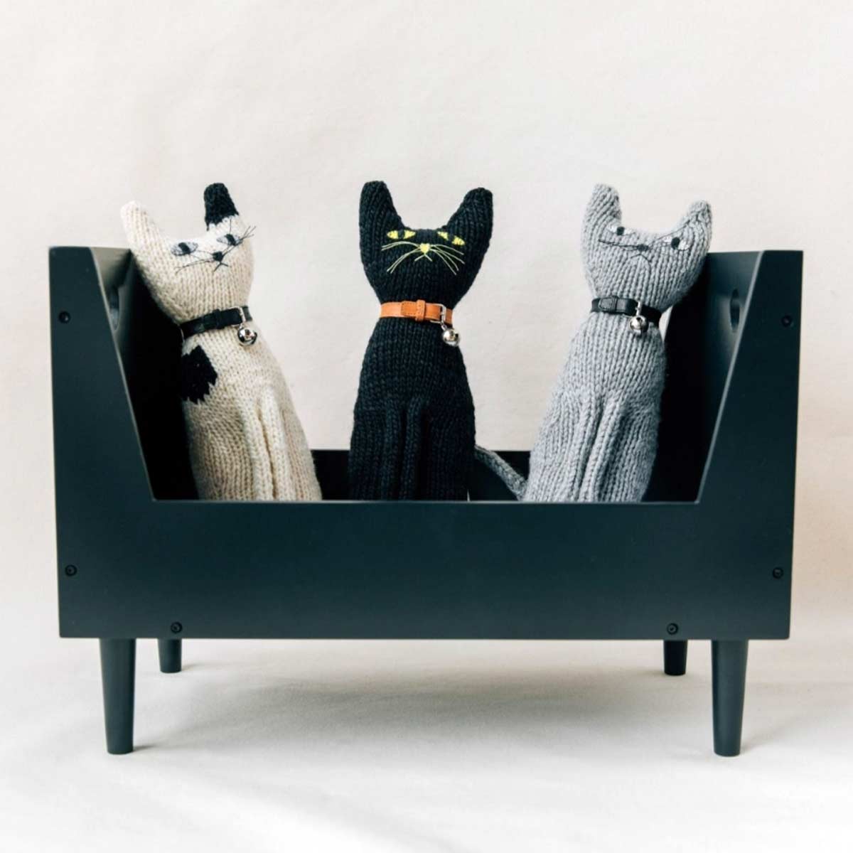 Katze Vito