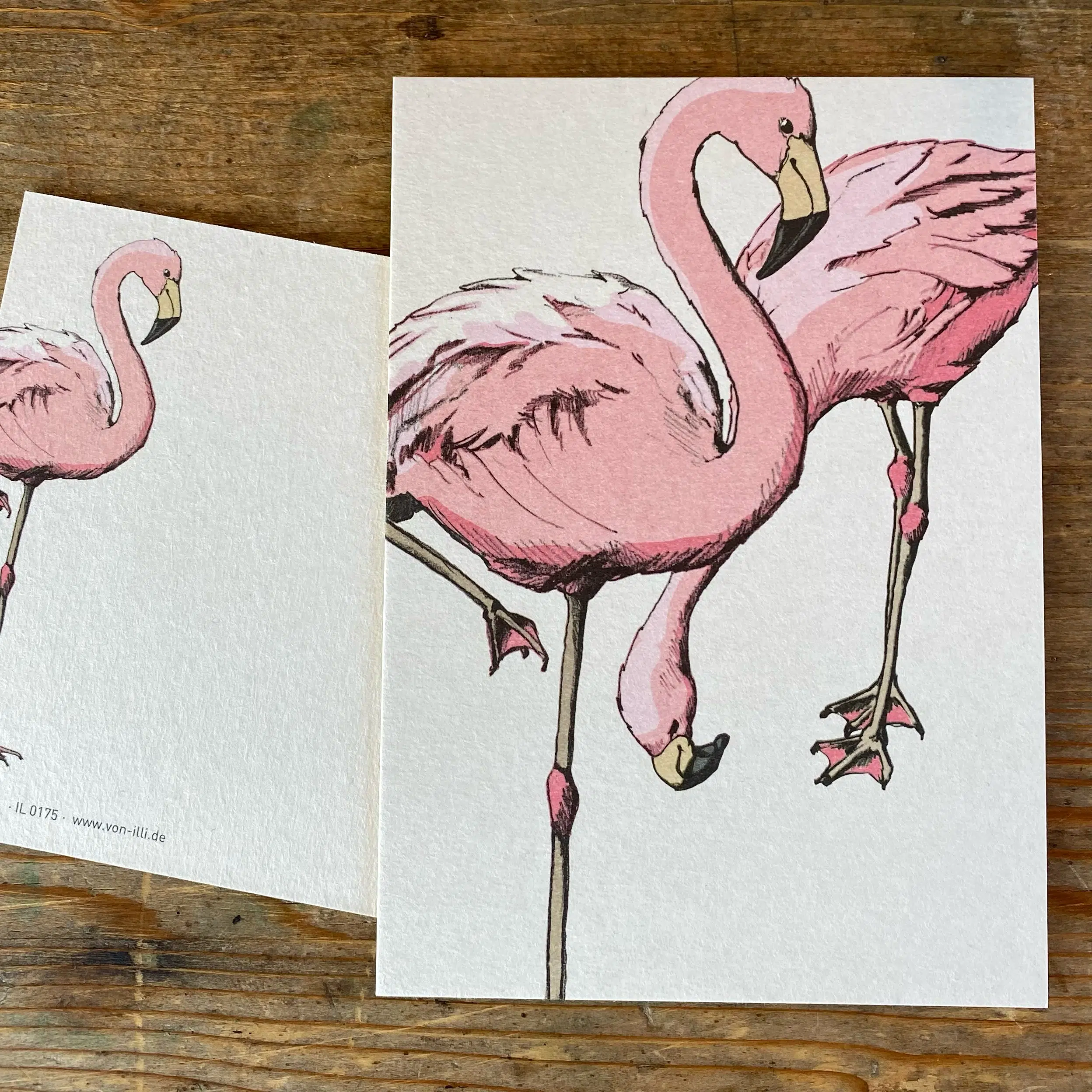 Flamingos