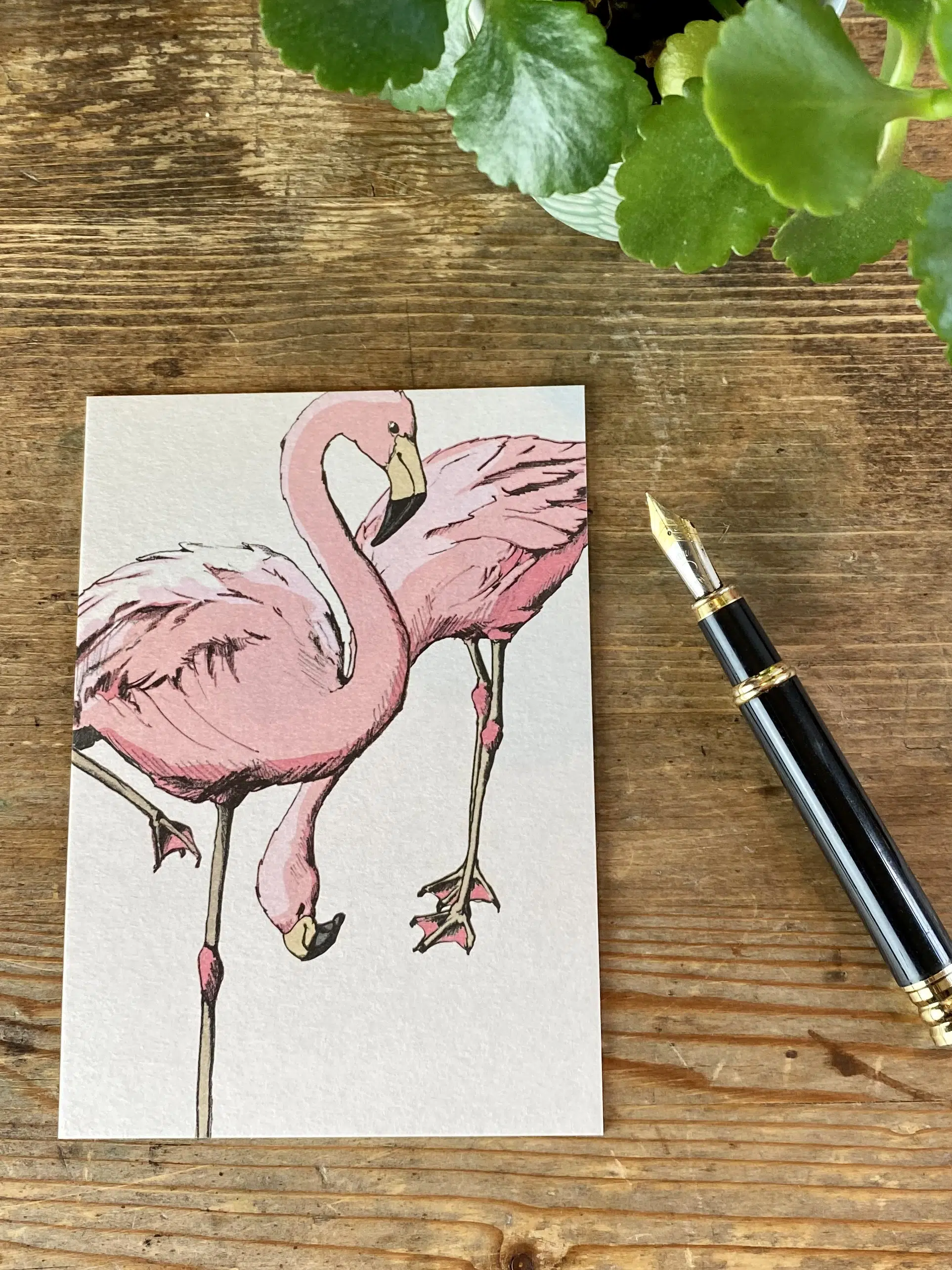 Flamingo