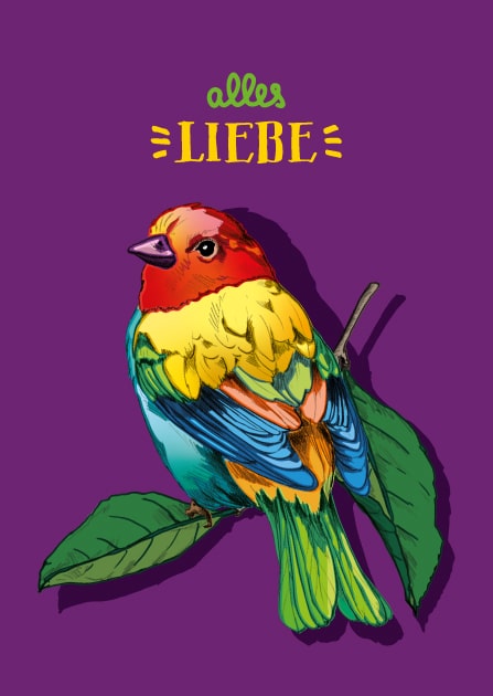 Grußkarte mit Paradiesvogel "LOHA" von illi