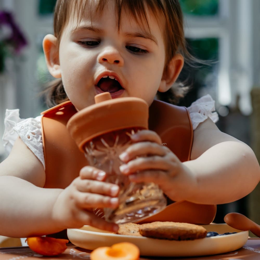 Deckel für Trinkbecher Canyon Clay & Vintage Blossom