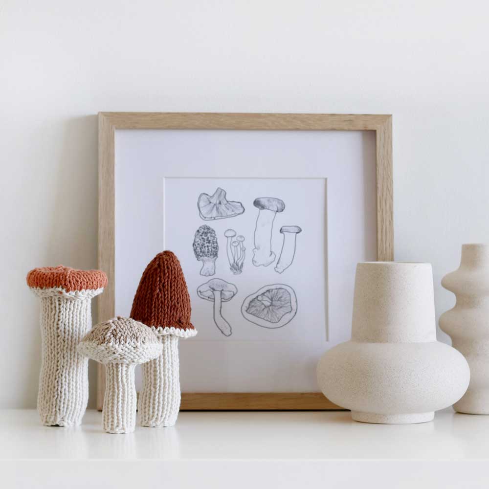 Pilz Illustration