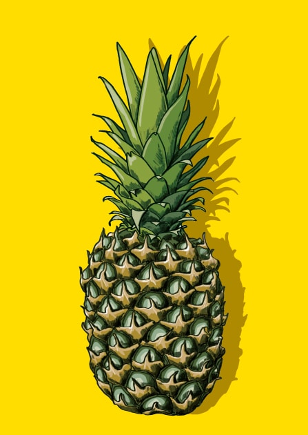 Postkarte Ananas "PINYA" von illi