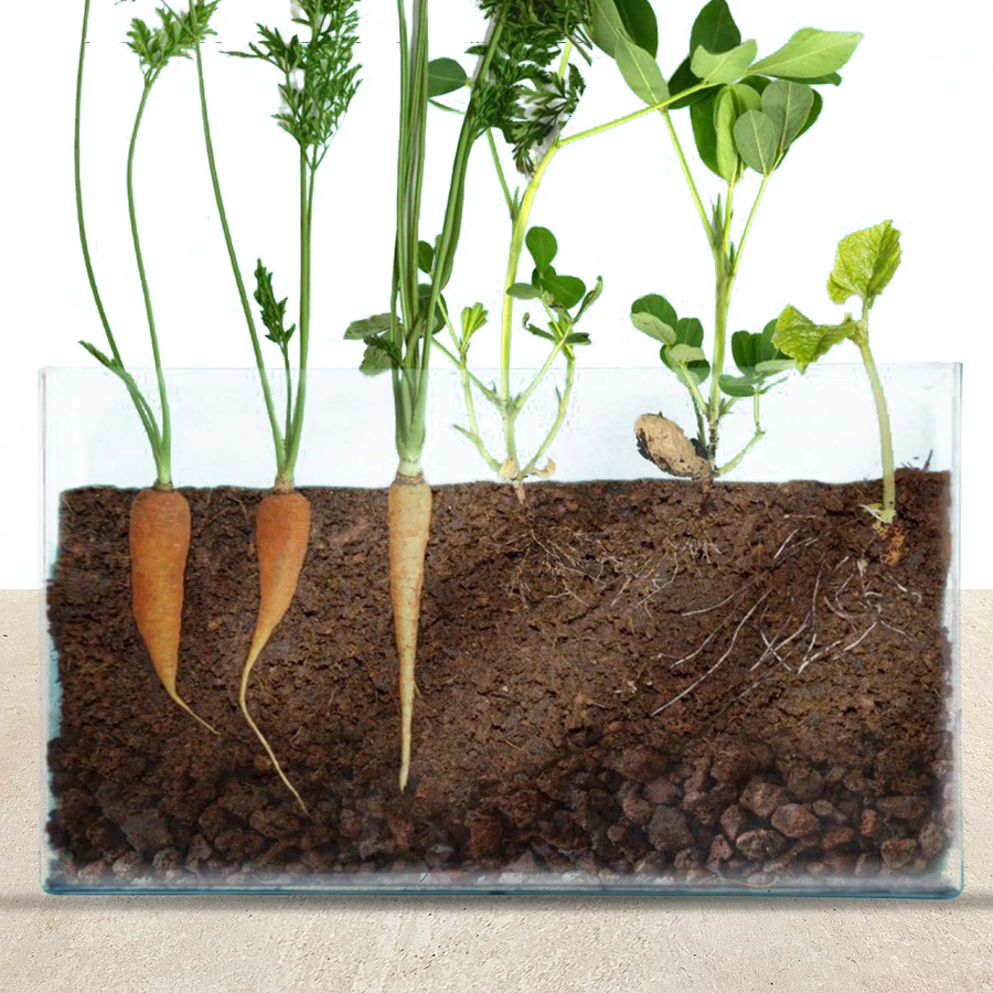 vivarium1_900x