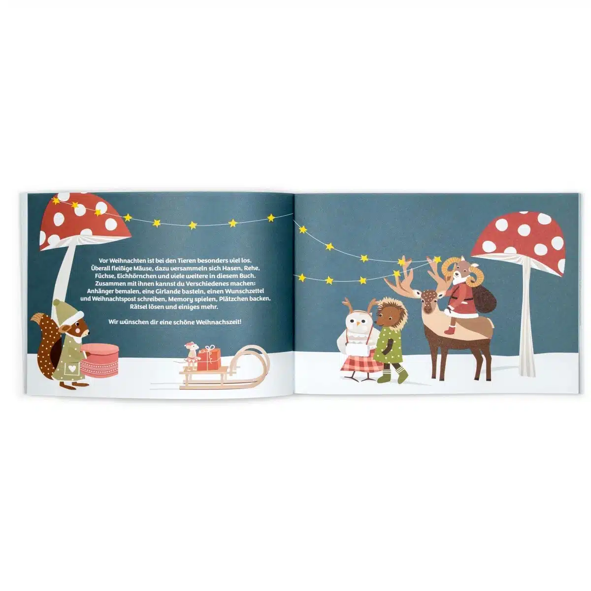 Nellie-Finn_Buch_Weihnachtszeit2