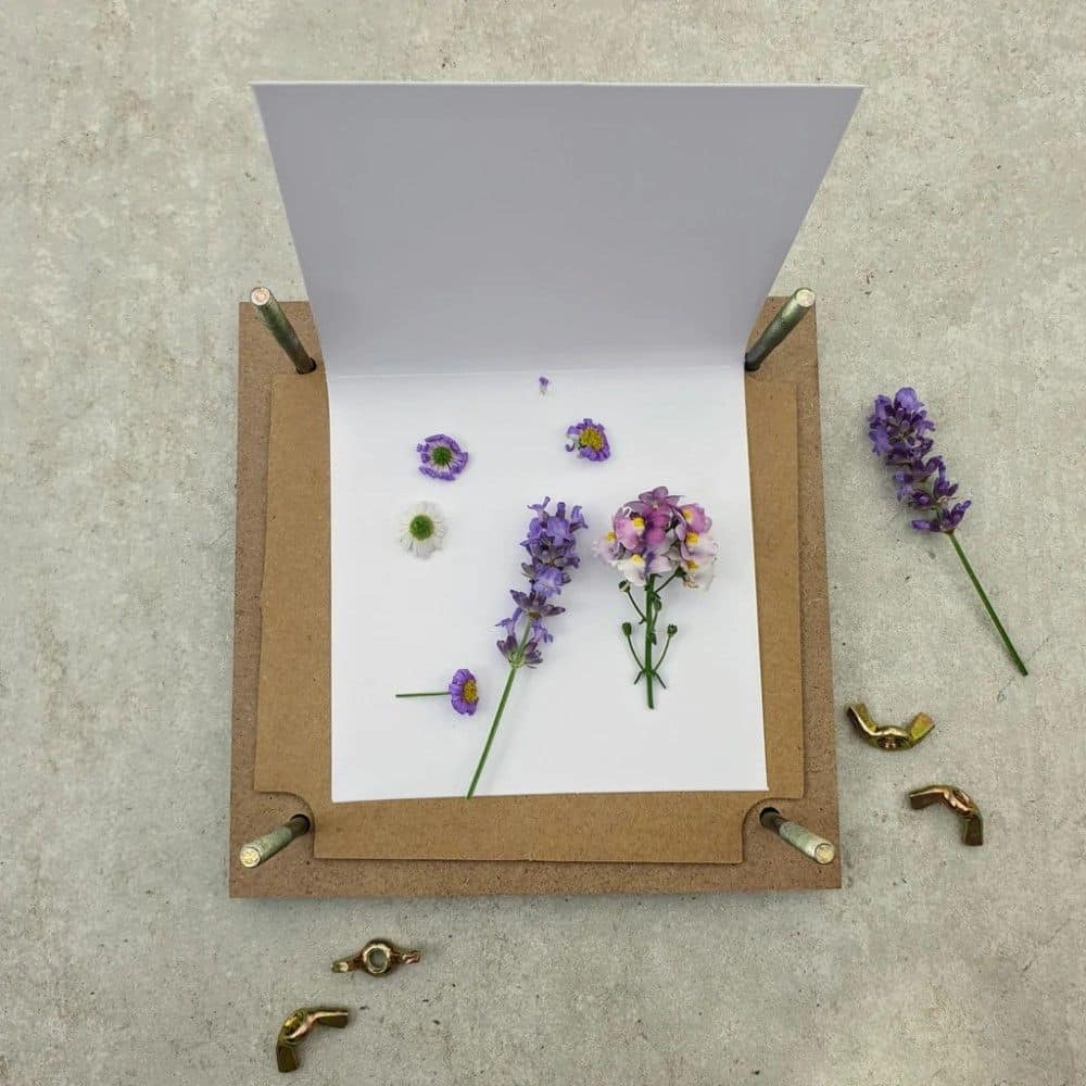 Blumenpresse mit/ohne Glasrahmen