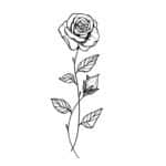Juni (Rose)