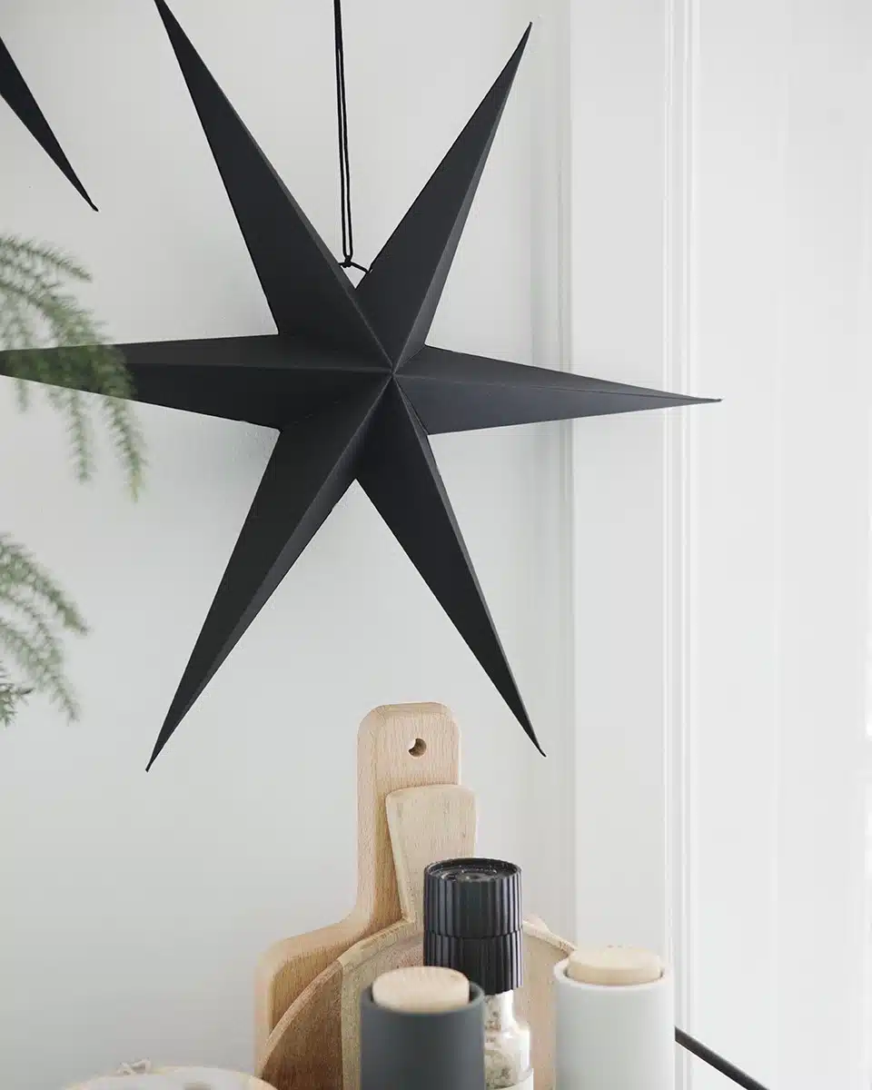 Delight-Department_SternSchwarz2