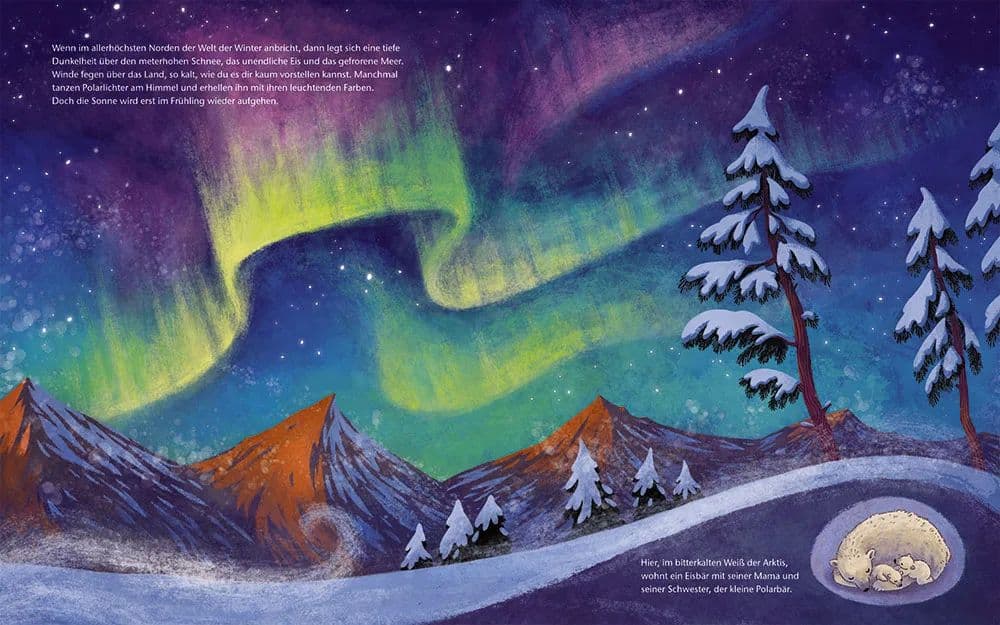 Kinderbuch "Der kleine Polarbär, Zu Hause in der Arktis"