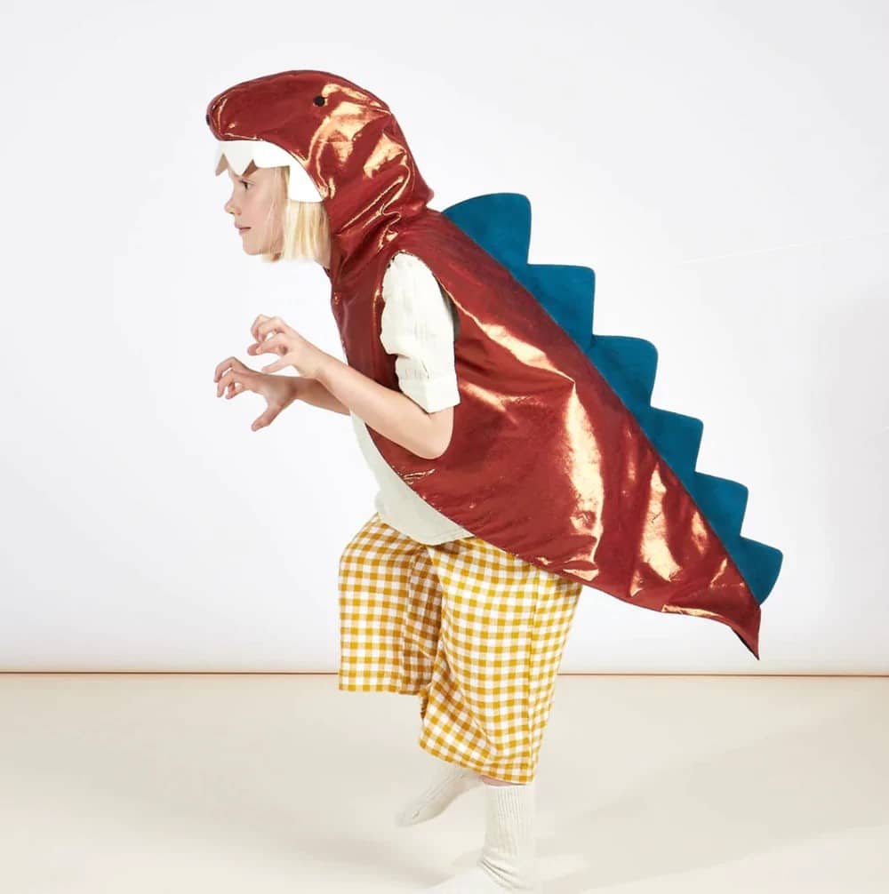 Dinosaurier Kostüm