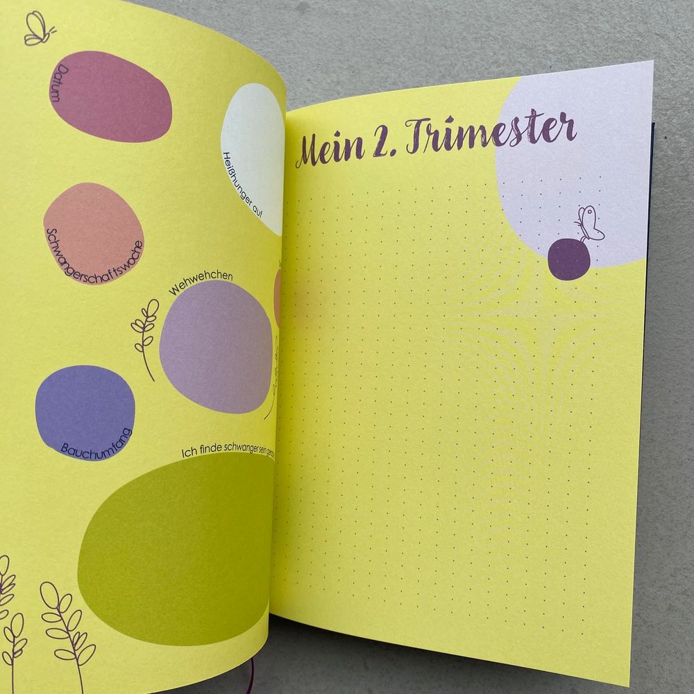Kunterbunte Kugelwochen, Mein Schwangerschaftstagebuch