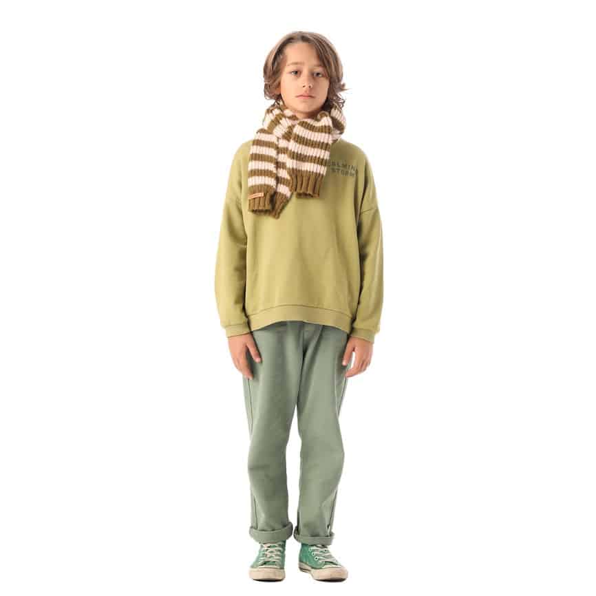 sweatshirt_sage-green_calming-storm_piupiuchick4