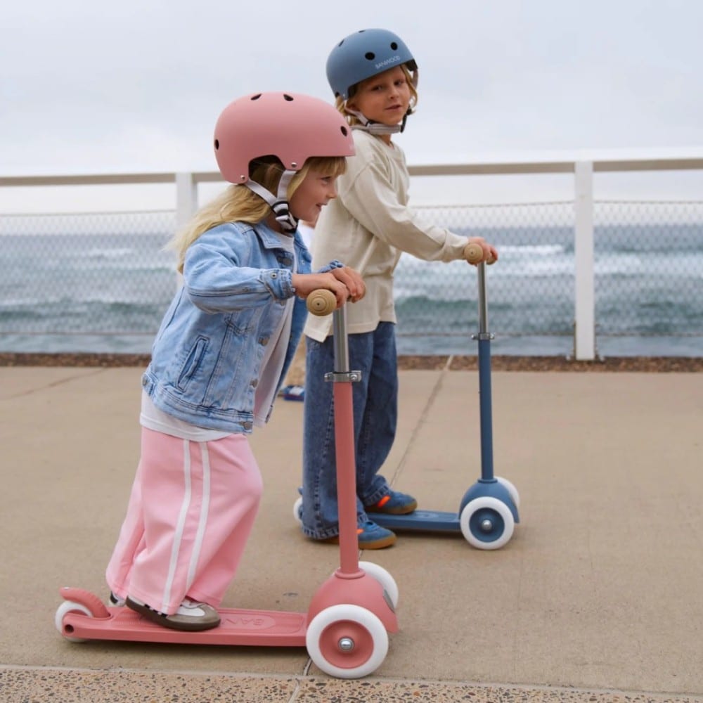 Eco Scooter, Raspberry