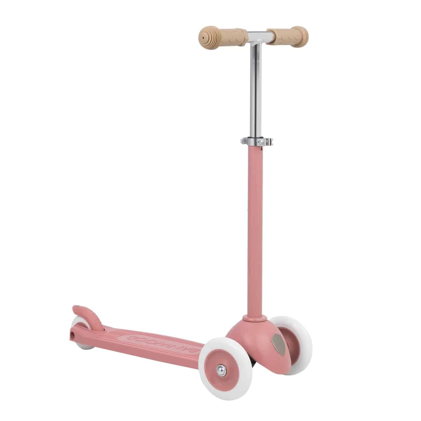 Eco Scooter, Raspberry