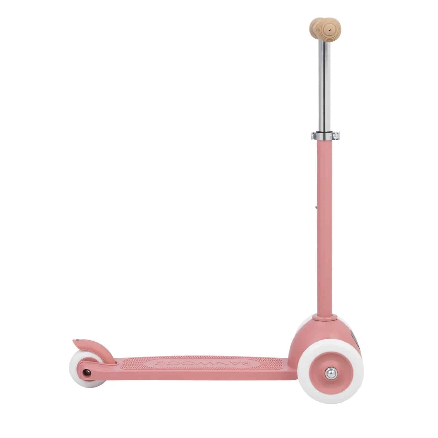 Eco Scooter, Raspberry