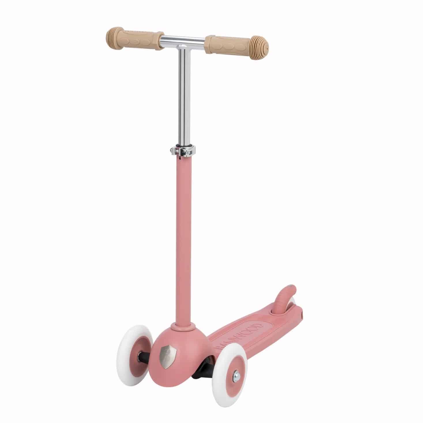 Eco Scooter, Raspberry