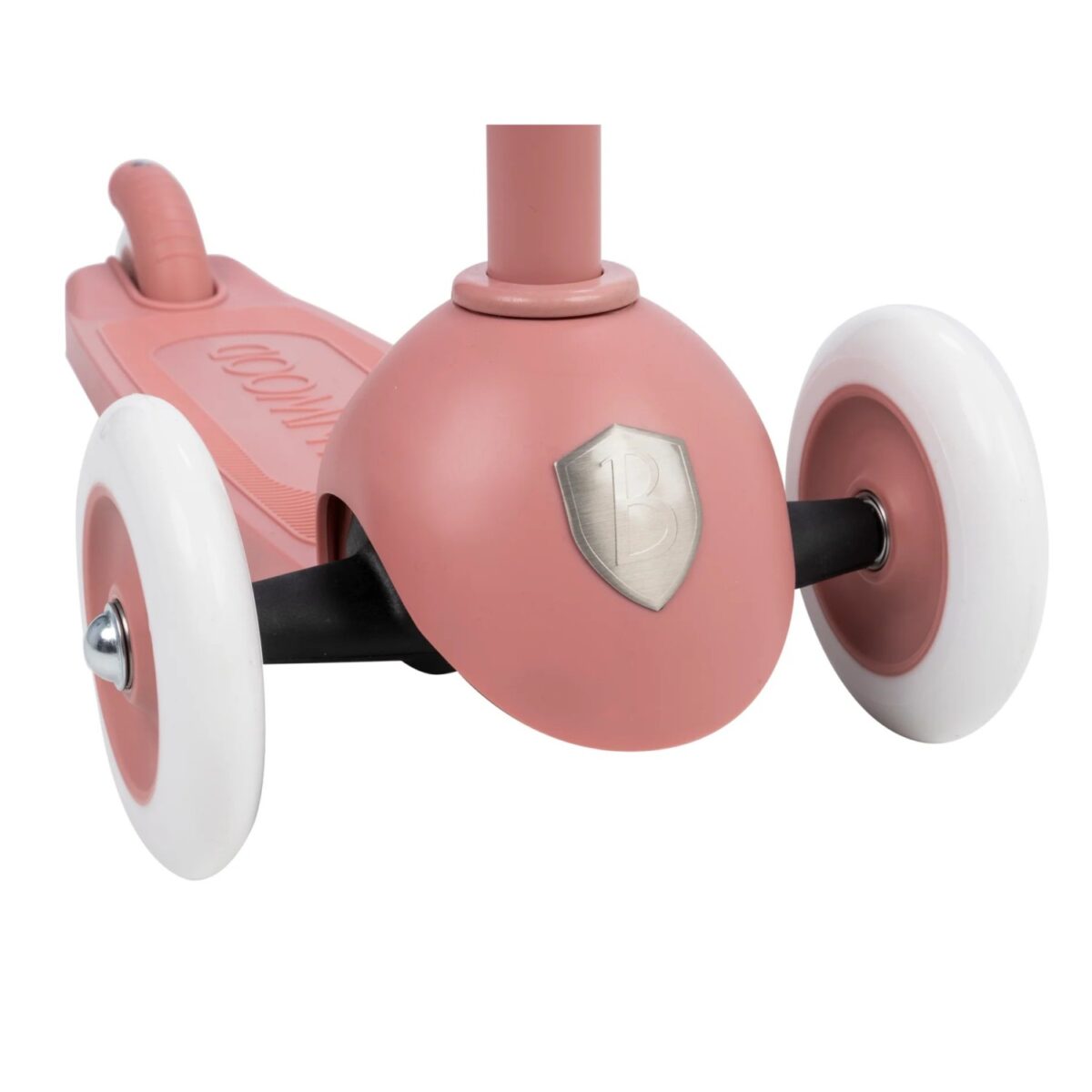 Eco Scooter, Raspberry