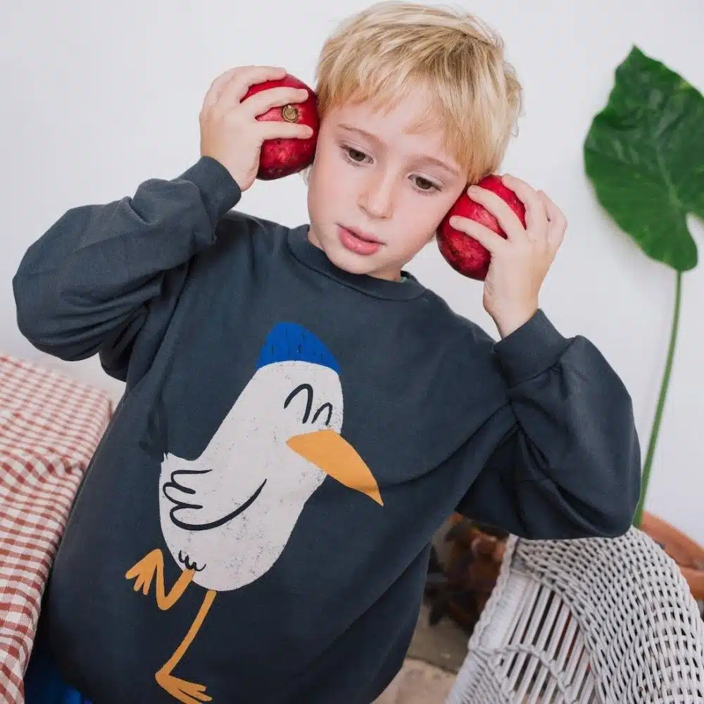 loetiekids_sweater_seagull_anthrazit