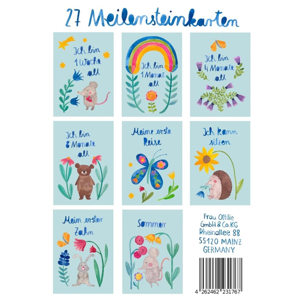 Baby Meilensteinkarten