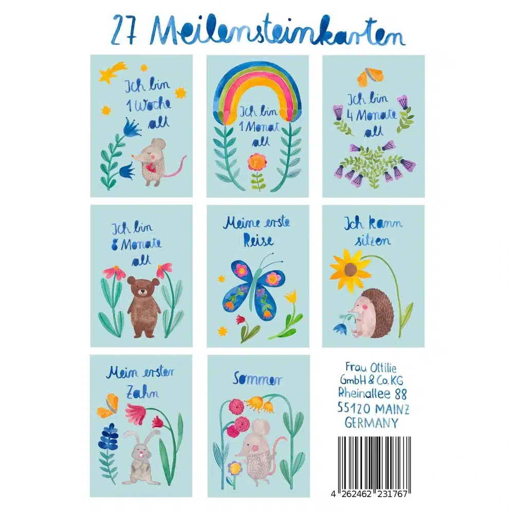 Baby Meilensteinkarten