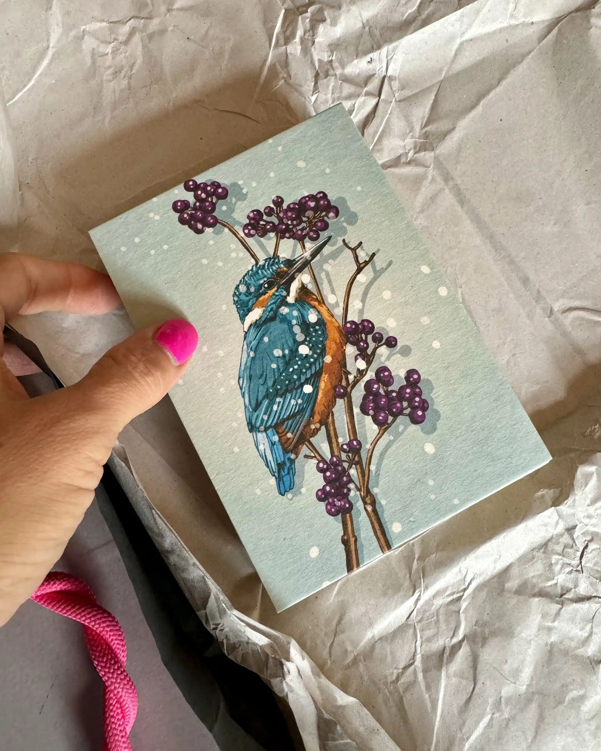 Weihnachtskarte Hase "Potti" von illi