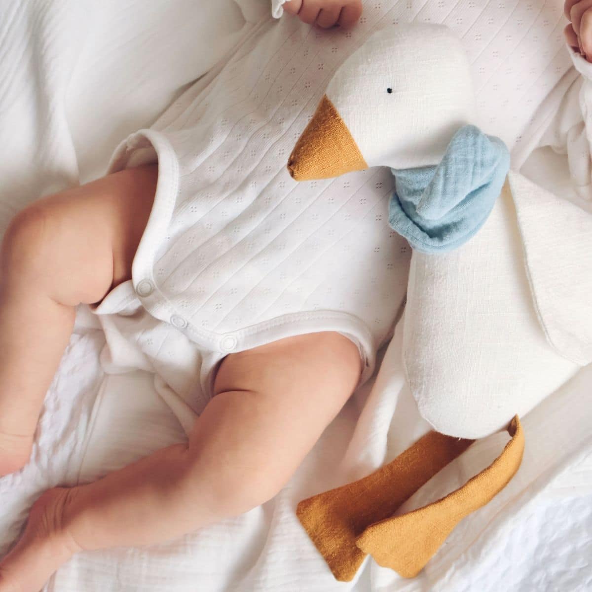 Gans mit blauem Musselinschal, Leinen